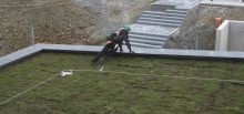 Fall arrest on green roofs - Weiswampach, Luxembourg